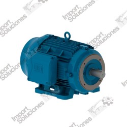 MOTOR BALDOR ELECTRIC REF. 39G10W262 230/460V 25HP