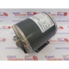 MOTOR CARBOT. 1/3HP 120/230V 50HZ (5009598)