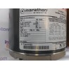 MOTOR CARBOT. 1/3HP 120/230V 50HZ (5009598)