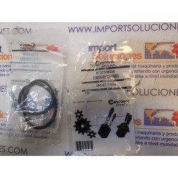 SEAL GASKET