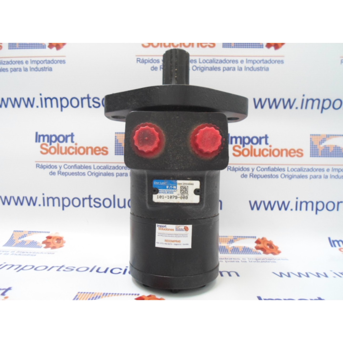 CHAR-LYNN	101-1079-009	MOTORES	MOTORS